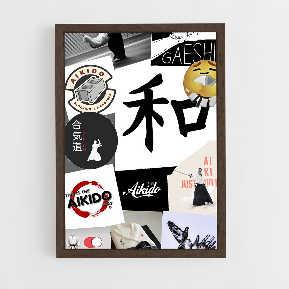 Poster Aikido Unity (vue 5)